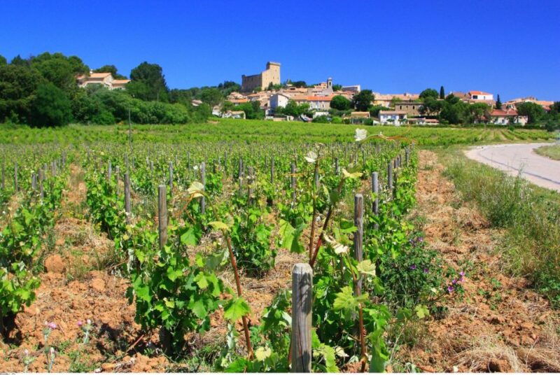 avignon-full-day-wine-tour-around-chateauneuf-du-pape