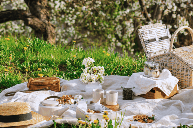 avignon-gourmet-picnic-with-a-view-of-the-pont-davignon