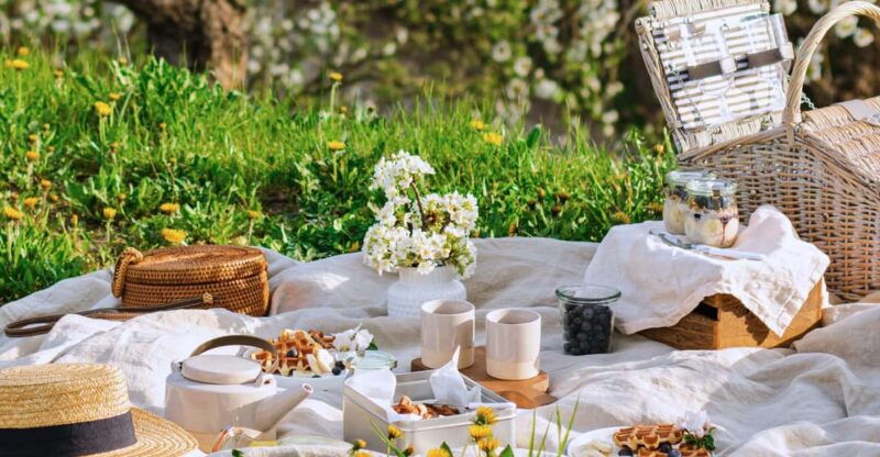 avignon-gourmet-picnic-with-a-view-of-the-pont-davignon