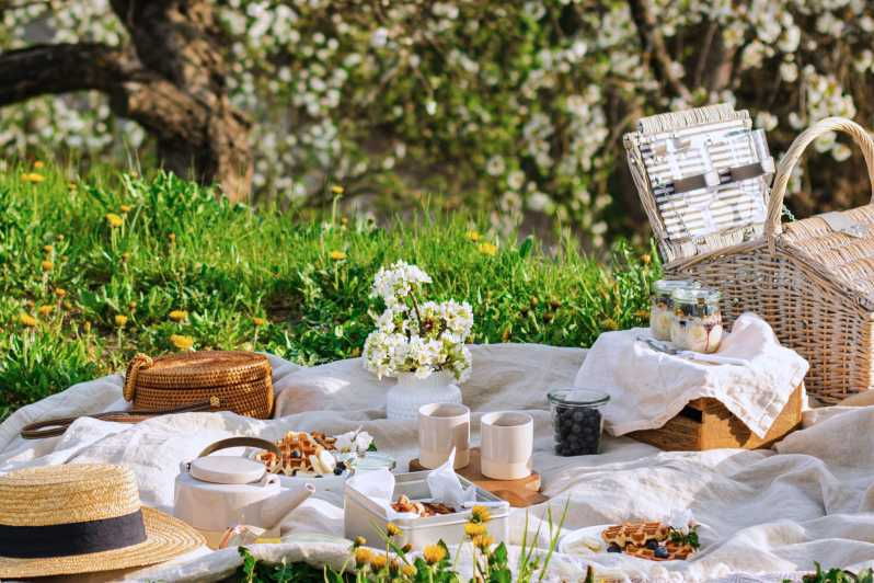 avignon-gourmet-picnic-with-a-view-of-the-pont-davignon