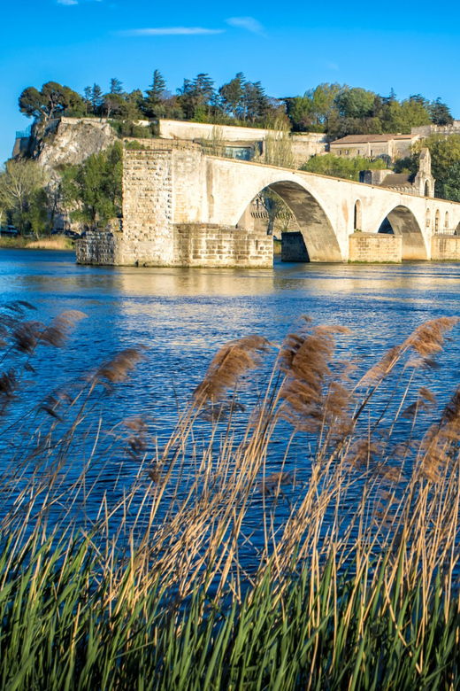 avignon-gourmet-picnic-with-a-view-of-the-pont-davignon