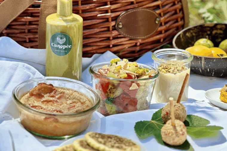 avignon-gourmet-picnic-with-a-view-of-the-pont-davignon