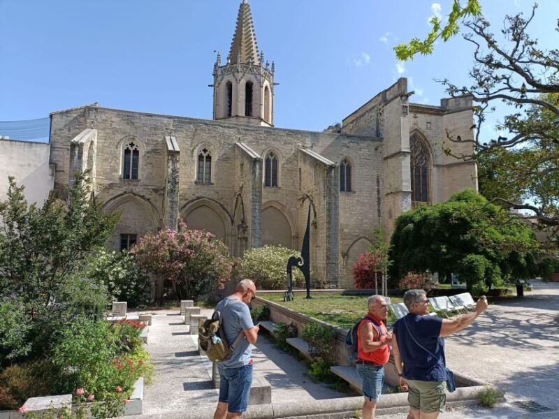 avignon-half-day-walking-tour-with-private-guide