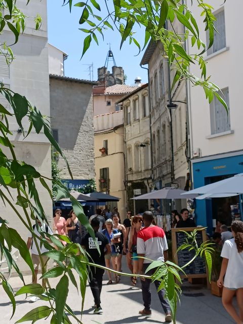 avignon-half-day-walking-tour-with-private-guide