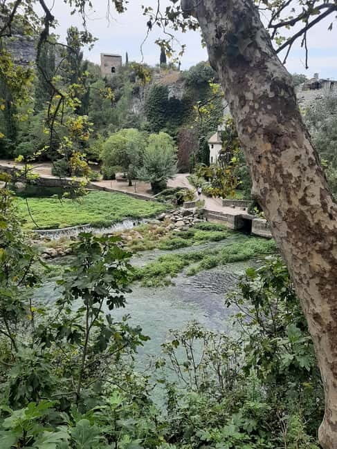 Avignon: Luberon, Gordes, and Roussillon Half-Day Tour - Exploring Provence: The Luberon, Gordes, and Roussillon Half-Day Tour