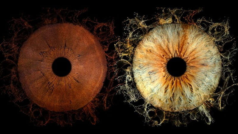 Avignon: Reveal the beauty of your iris with Iris Galerie - Key Points