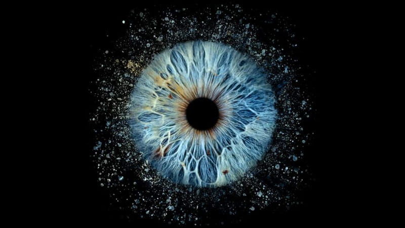 Avignon: Reveal the beauty of your iris with Iris Galerie - How does the experience work?