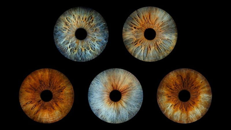 Avignon: Reveal the beauty of your iris with Iris Galerie - What makes this activity stand out?
