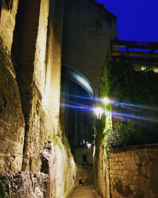 avignon-the-night-owl-between-past-and-present