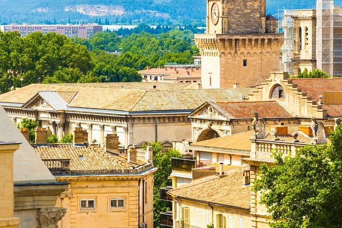 avignon-walking-tour-including-popes-palace