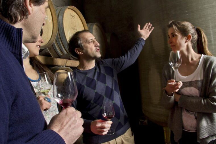 avignon-wine-tasting-tour