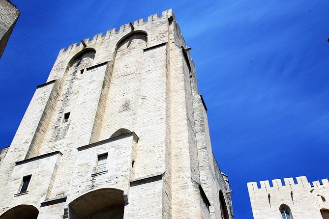 avignons-history-local-culture-the-wines-of-chateauneuf-du-pape-private-tour-2