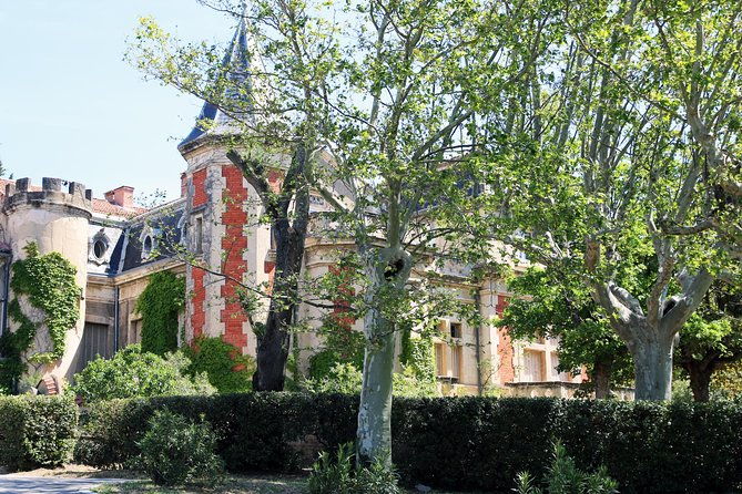 avignons-history-local-culture-the-wines-of-chateauneuf-du-pape-private-tour-2