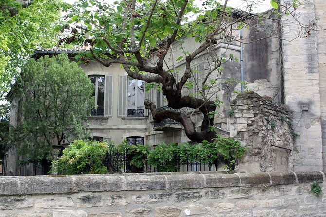 avignons-history-local-culture-the-wines-of-chateauneuf-du-pape-private-tour