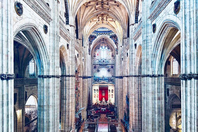 avila-and-salamanca-a-day-between-history-and-walls-from-madrid