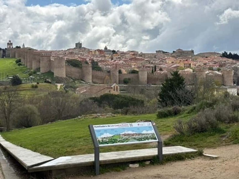 Avila: Private Tour Half Day Minivan Tour from Madrid - A detailed look at the Avila private tour experience