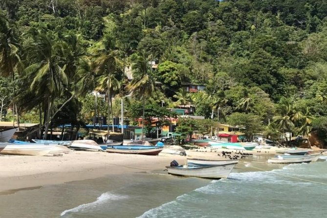 avocat-waterfall-tour-beach-stop-package