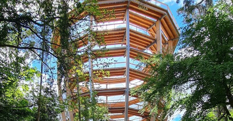 avondale-beyond-the-trees-treetop-walk-tower-entry-ticket