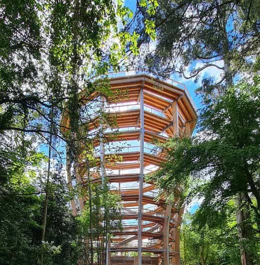 avondale-beyond-the-trees-treetop-walk-tower-entry-ticket