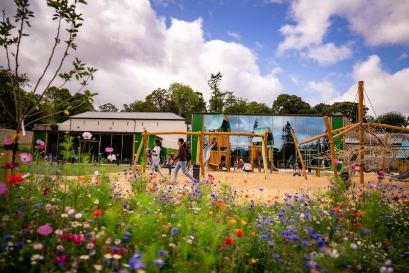 avondale-beyond-the-trees-treetop-walk-tower-entry-ticket