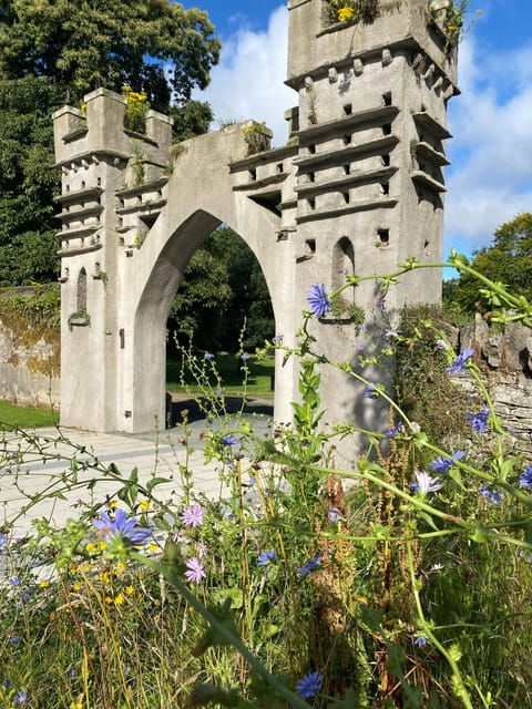 avondale-beyond-the-trees-treetop-walk-tower-entry-ticket