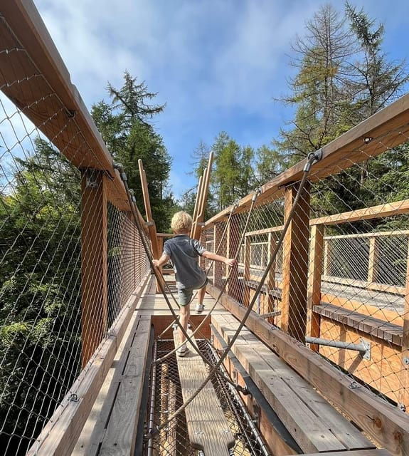 avondale-beyond-the-trees-treetop-walk-tower-entry-ticket