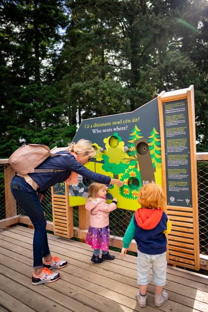 avondale-beyond-the-trees-treetop-walk-tower-entry-ticket