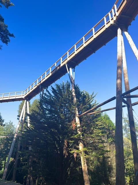 avondale-beyond-the-trees-treetop-walk-tower-entry-ticket