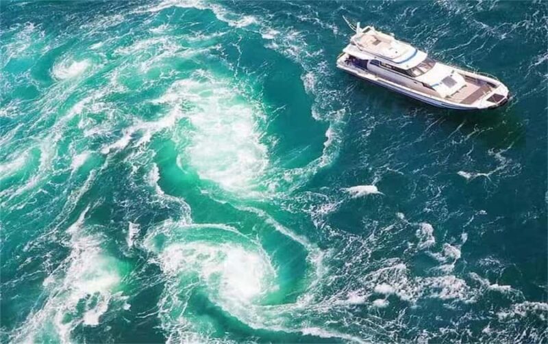 Awaji Island: Awaji Coast Whirlpool Day Trip from Osaka - Who Should Consider This Tour?