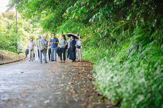 Awamori Pairing Lunch in Yanbaru Local Flavors and Traditions - An In-Depth Look at the Awamori Pairing Lunch Tour