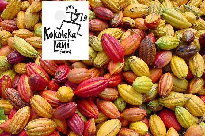 Award Winning Farm Tour: Coffee, Chocolate and Unique Gifts - Price and Value: Does It Live Up to Expectations?