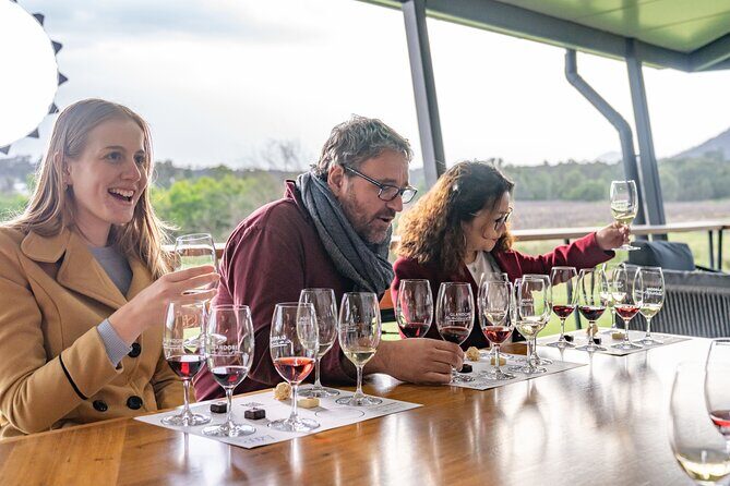 Award-Winning Hunter Valley Wine & Cheese Tour from Sydney - The Full Breakdown: What You Can Expect