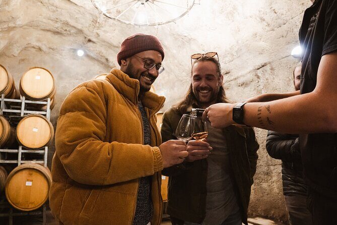 Award Winning Premium Wine Tour Queenstown Tasting at 4 Wineries - Who Should Book This Tour?
