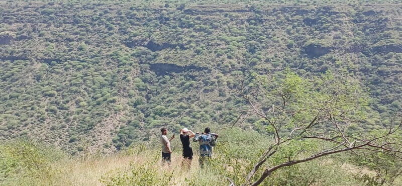 "Awash National Park Safari Experience" - Key Points