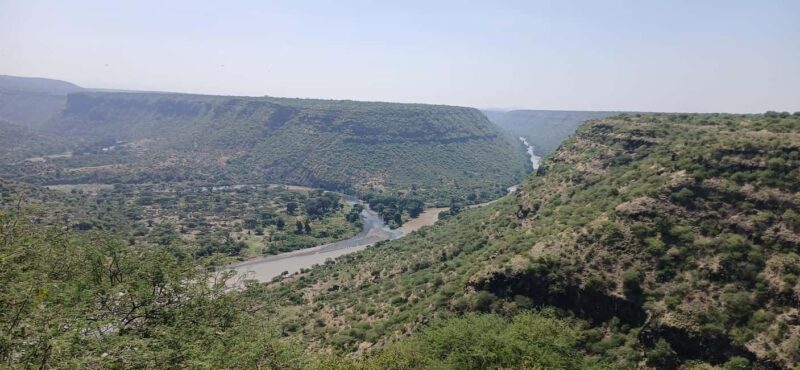 "Awash National Park Safari Experience" - Practical Details and Value
