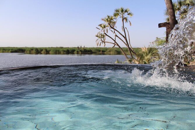 Awash National Park Tours - An Overview of an Ethiopian Safari in Just Two Days  