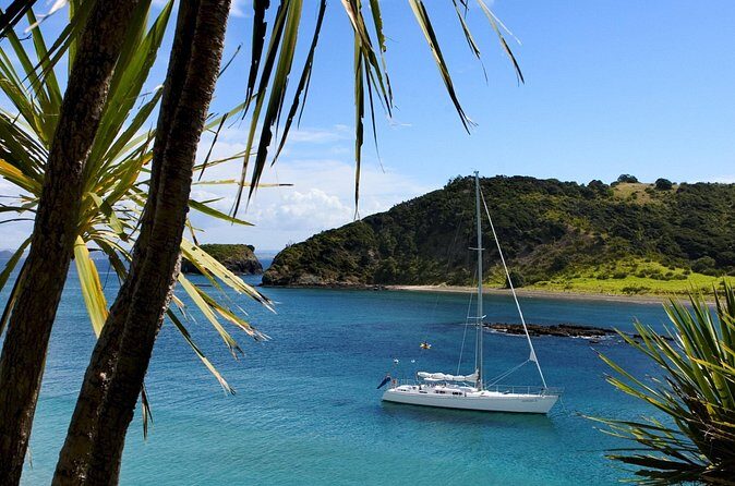 Awesome Bay of Islands Day Sailing Adventure - The Sum Up