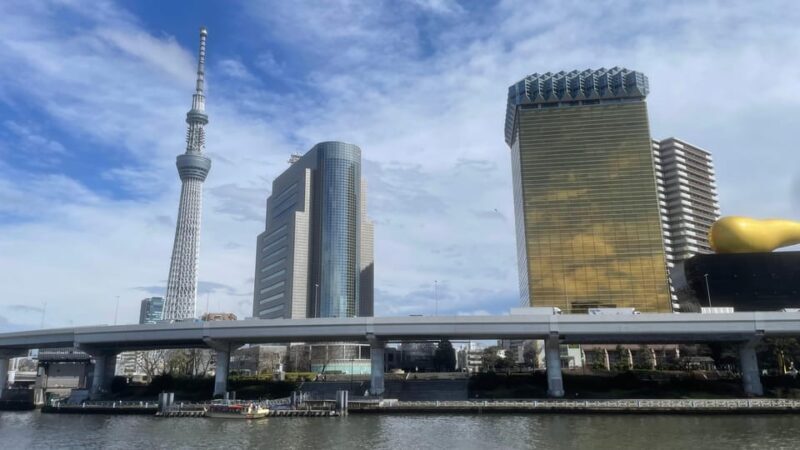 Awesome Private Tour: Tsukiji, Asakusa, Shinjuku, Shibuya - What You Can Expect Day-to-Day