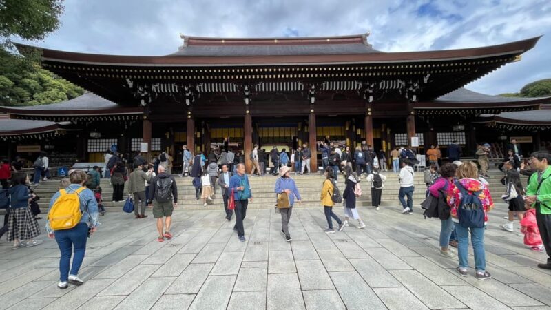 Awesome Private Tour: Tsukiji, Asakusa, Shinjuku, Shibuya - Who Will Love This Tour?