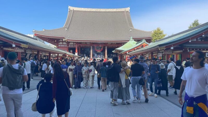 Awesome Private Tour: Tsukiji, Asakusa, Shinjuku, Shibuya - Final Thoughts