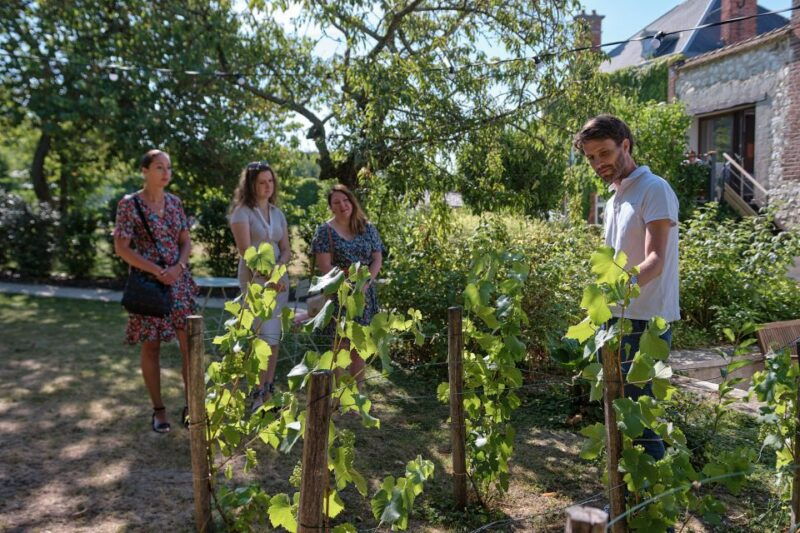 ay-champagne-champagne-house-tour-and-tasting-class