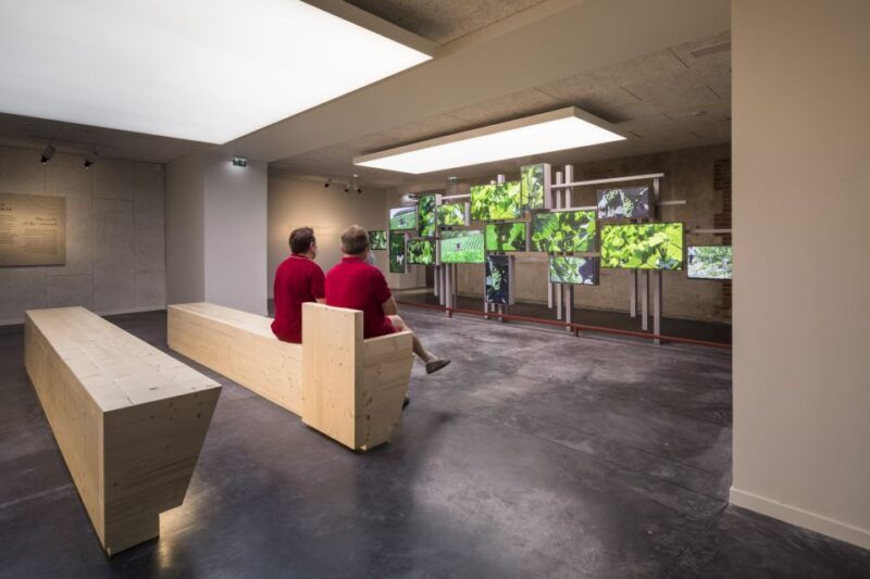 ay-champagne-pressoria-champagne-museum-with-tasting