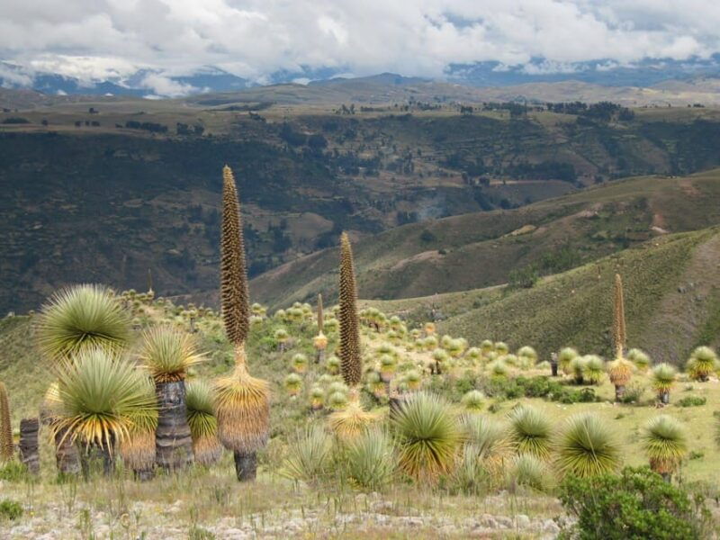 ayacucho-relax-at-collpa-thermal-pools-thermal-waters