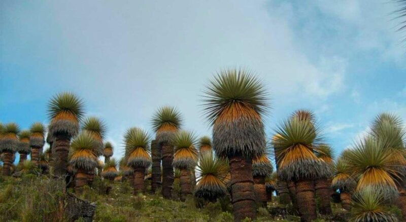 ayacucho-route-to-vilcashuaman-and-pumacocha
