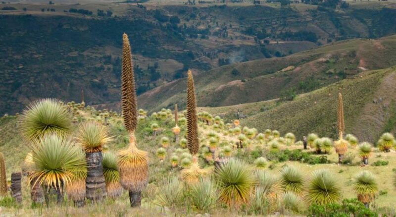 ayacucho-route-to-vilcashuaman-and-pumacocha