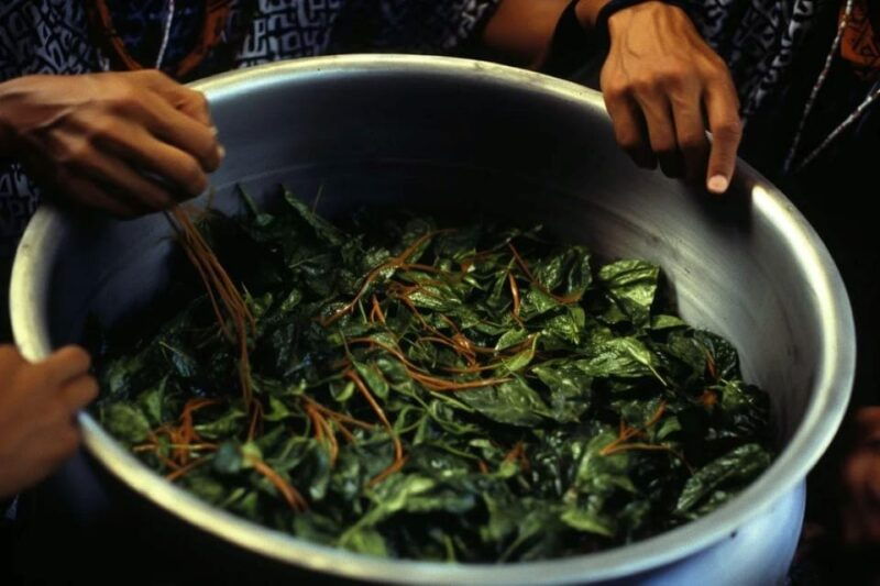ayahuasca-ceremony-in-iquitos