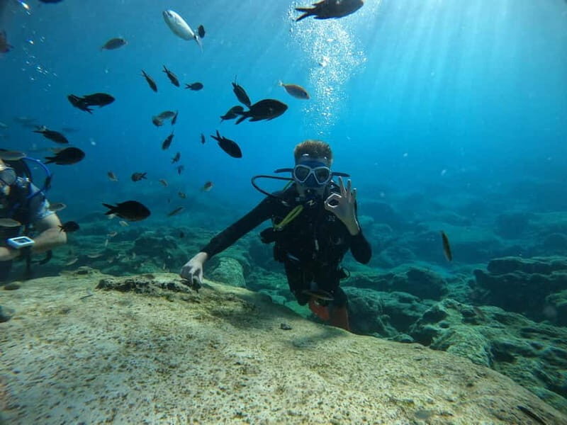 Ayia Napa: Beginners Discover Scuba Diving Experience - What’s Included and What’s Not?