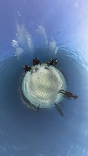 Ayia Napa: Musan Underwater Museum Scuba Dive with Transfer - An Overview of the Experience