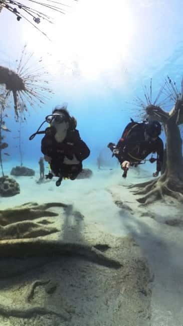 Ayia Napa: Musan Underwater Museum Scuba Dive with Transfer - The Value of This Tour