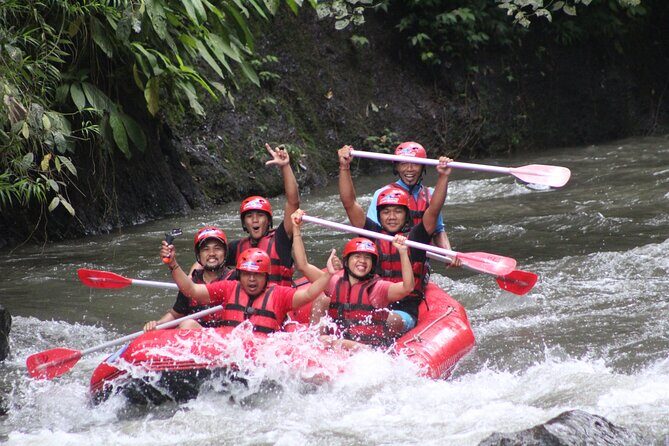 Ayung Rafting Ubud (Buffet Lunch & Return Hotel Transport) - Key Points